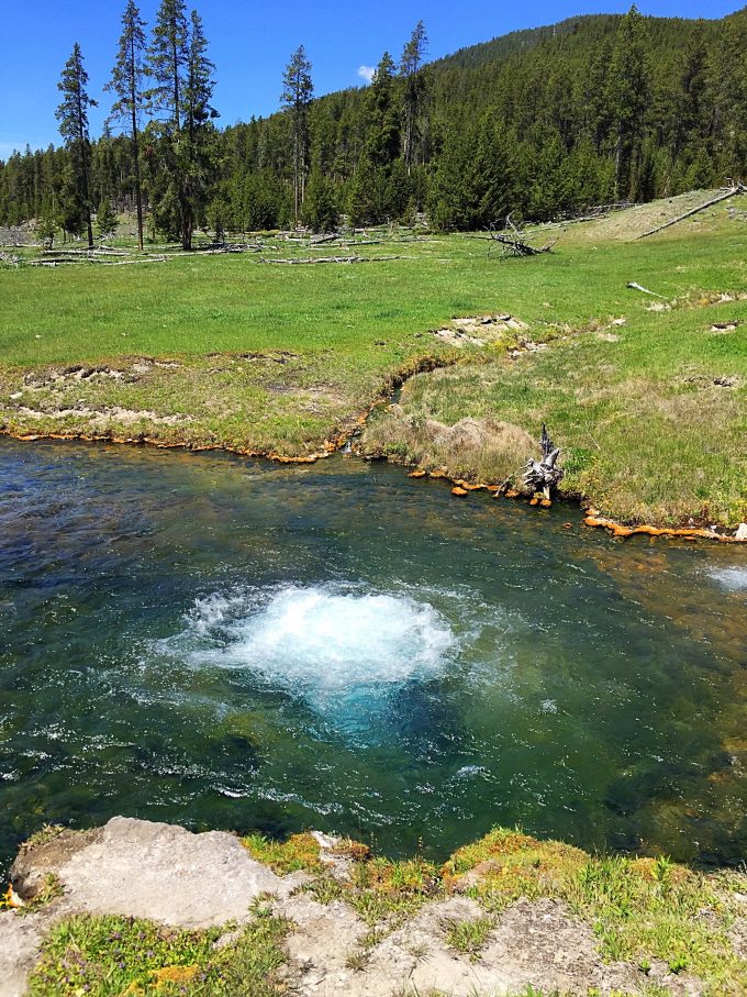 Hot Springs in Yellowstone