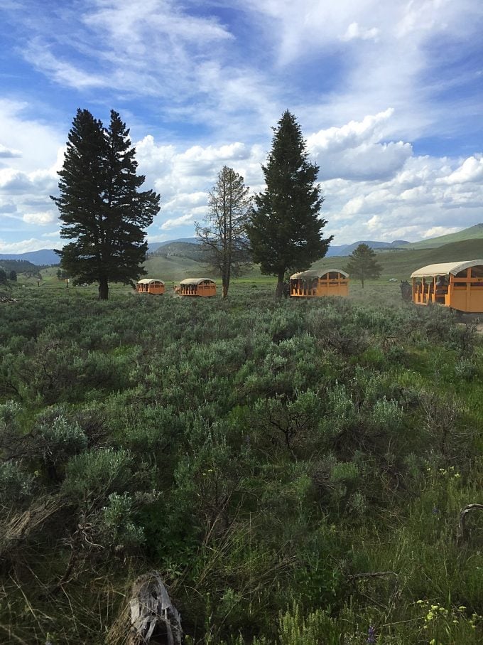 Old West Cookout Yellowstone