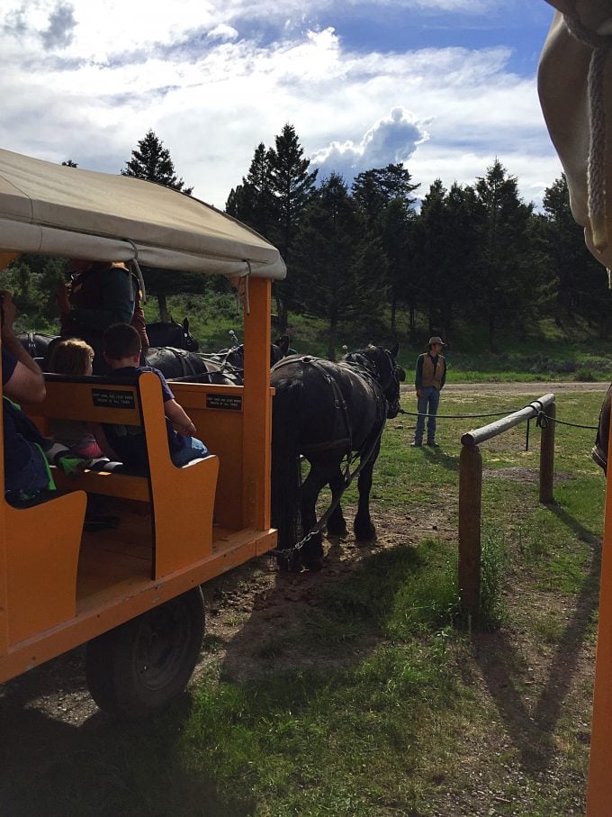 Old West Cookout carriage