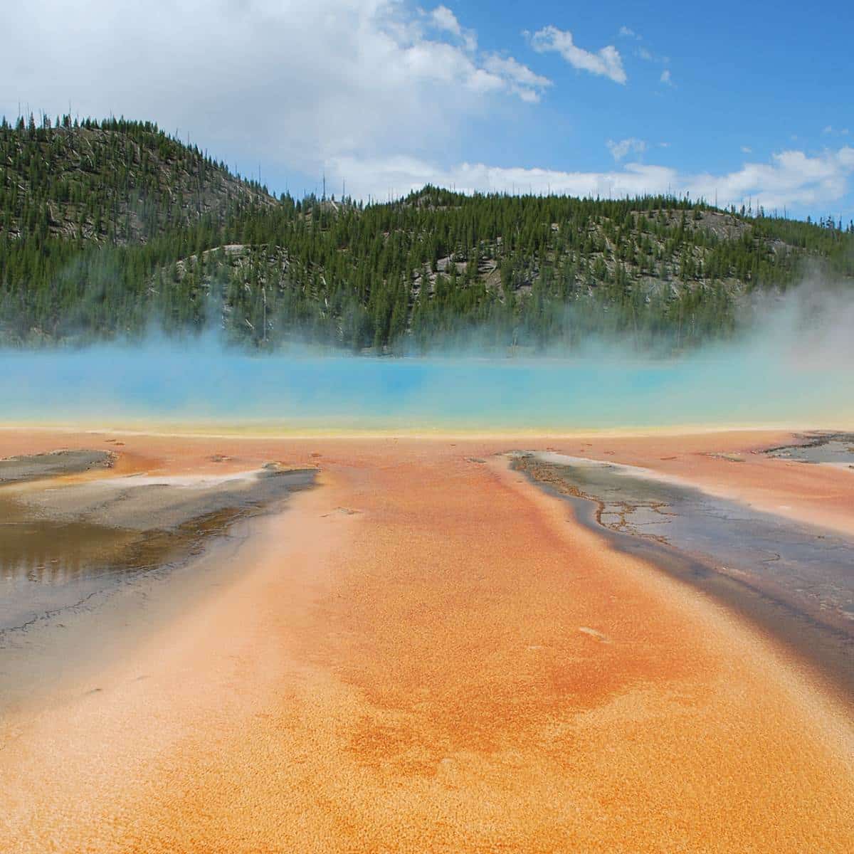 grand prismatic spring in Yellowstone National Park