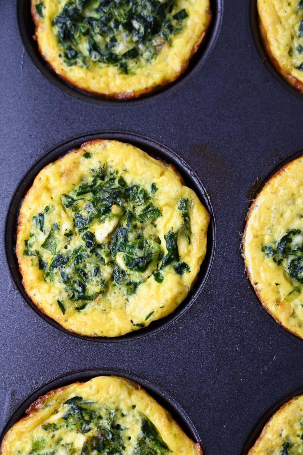 egg and spinach muffin bites in a muffin pan