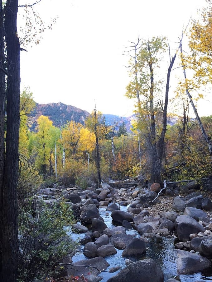 Hunter Creek Trail Aspen