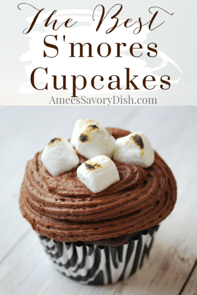 moist smores cupcakes with burnt mini marshmallows on top