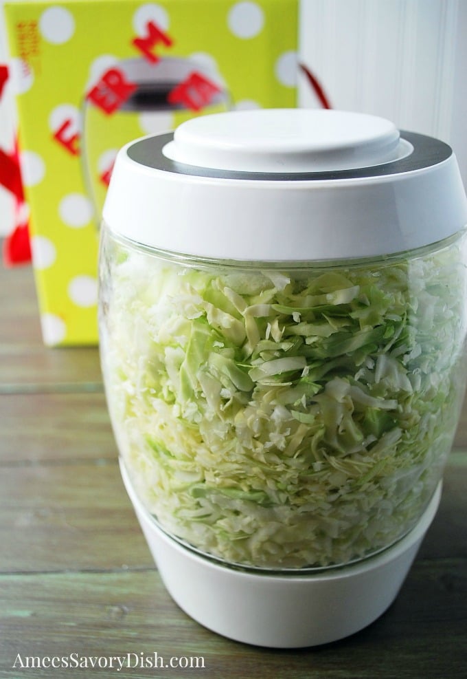 Homemade Sauerkraut in crock