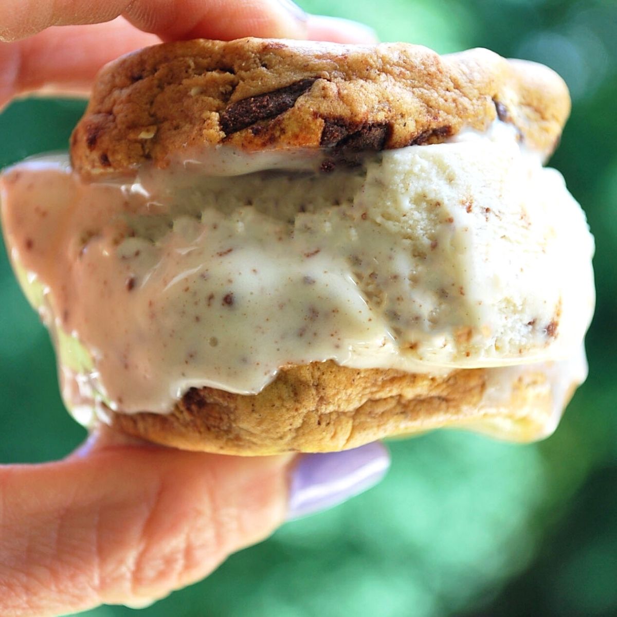 ProteinPacked Ice Cream Sandwich Amee's Savory Dish