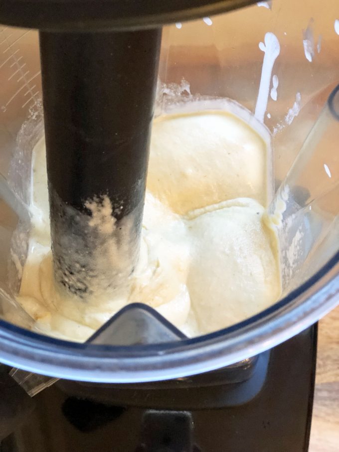 Vitamix Tropical Protein Ice Cream recipe Amee's Savory Dish