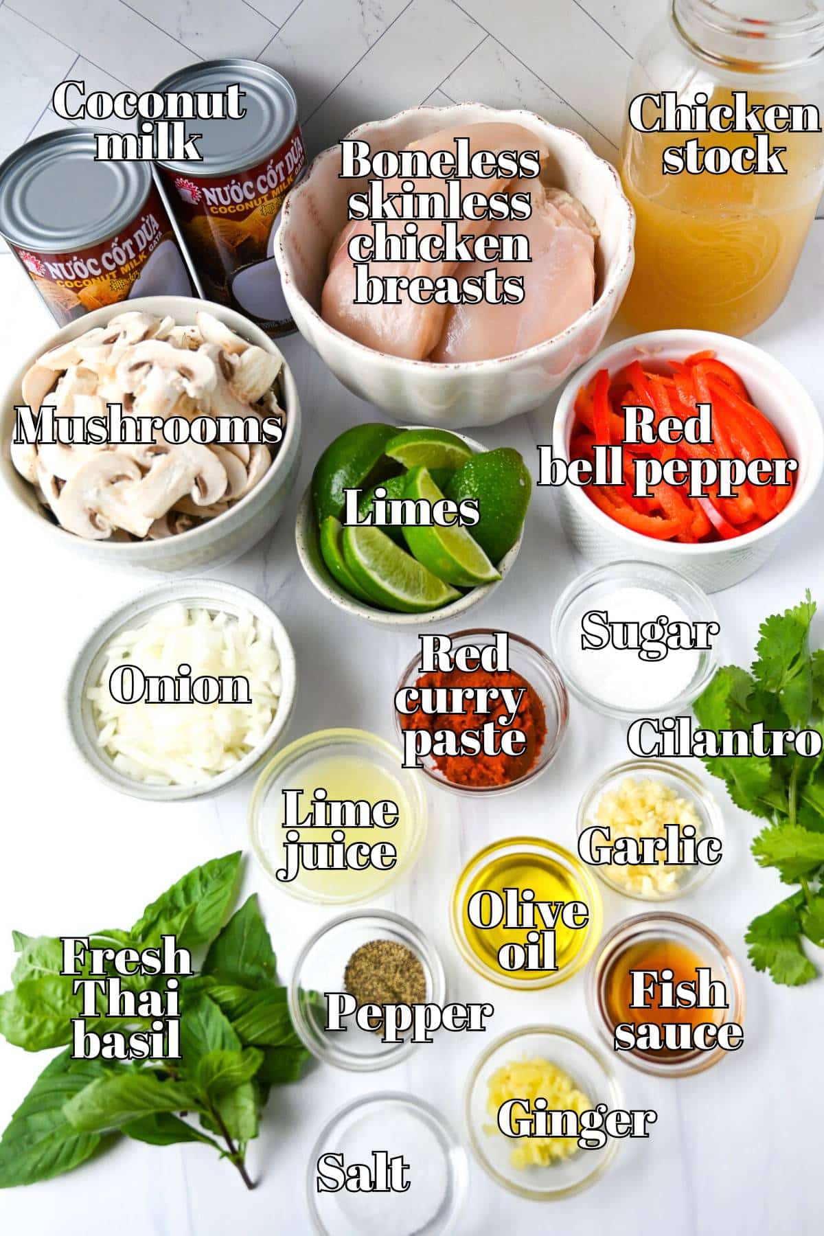 ingredients for red curry chicken soup measured out on a counter
