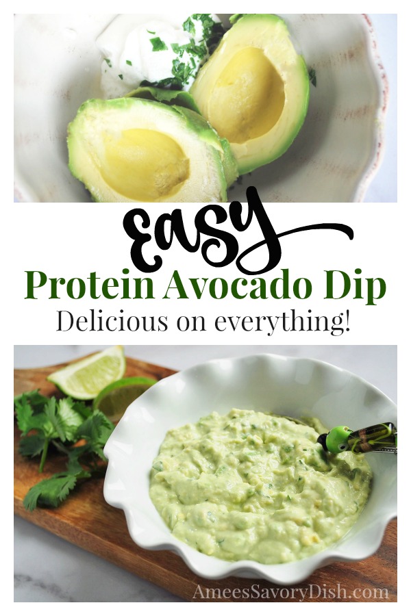 Easy Protein Avocado Dip - Amee's Savory Dish