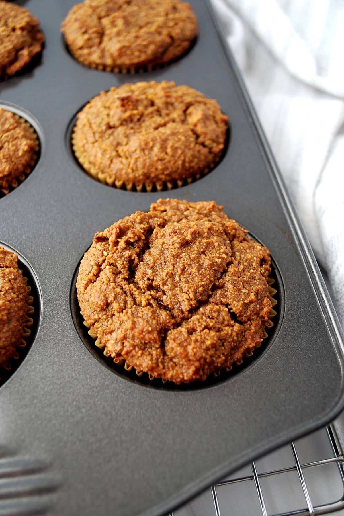pumpkin muffins made grain free with almond flour fresh from the oven in a muffin pan