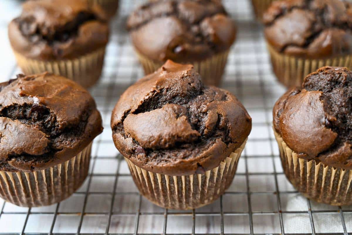 chocolate muffins baked and cooling on a rack