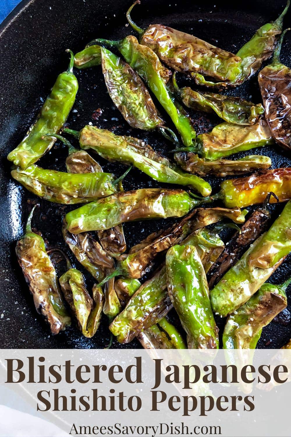 This Japanese Shishito Peppers Recipe is the perfect easy appetizer or snack. Blistered in a cast iron skillet and seasoned with soy sauce, citrus, and salt. via @Ameessavorydish