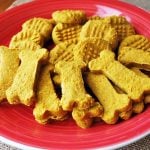 homemade dog biscuits on a red plate