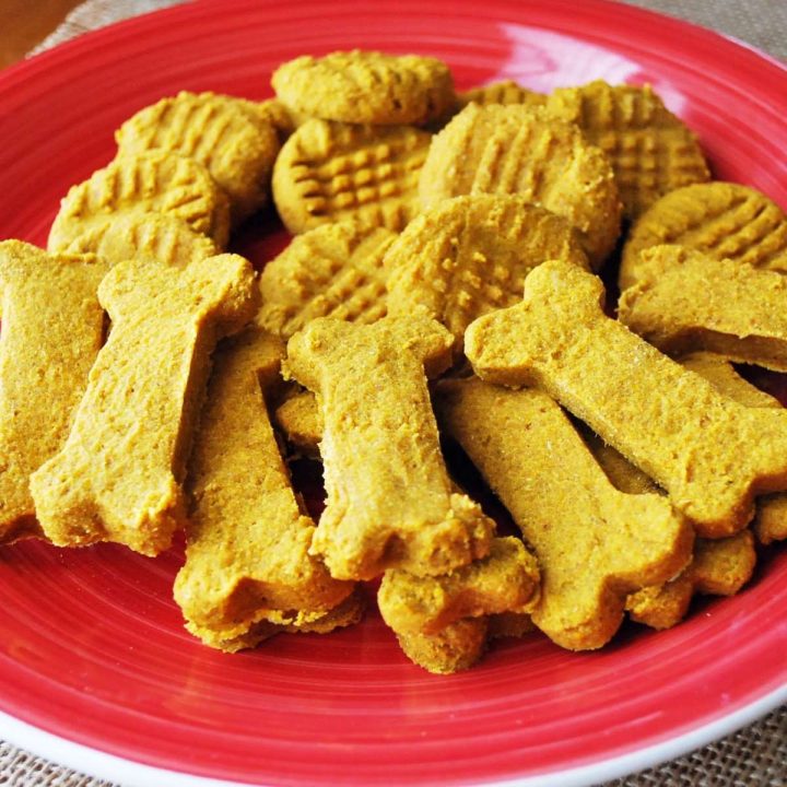 Pumpkin Oatmeal Dog Treats - Amee's Savory Dish