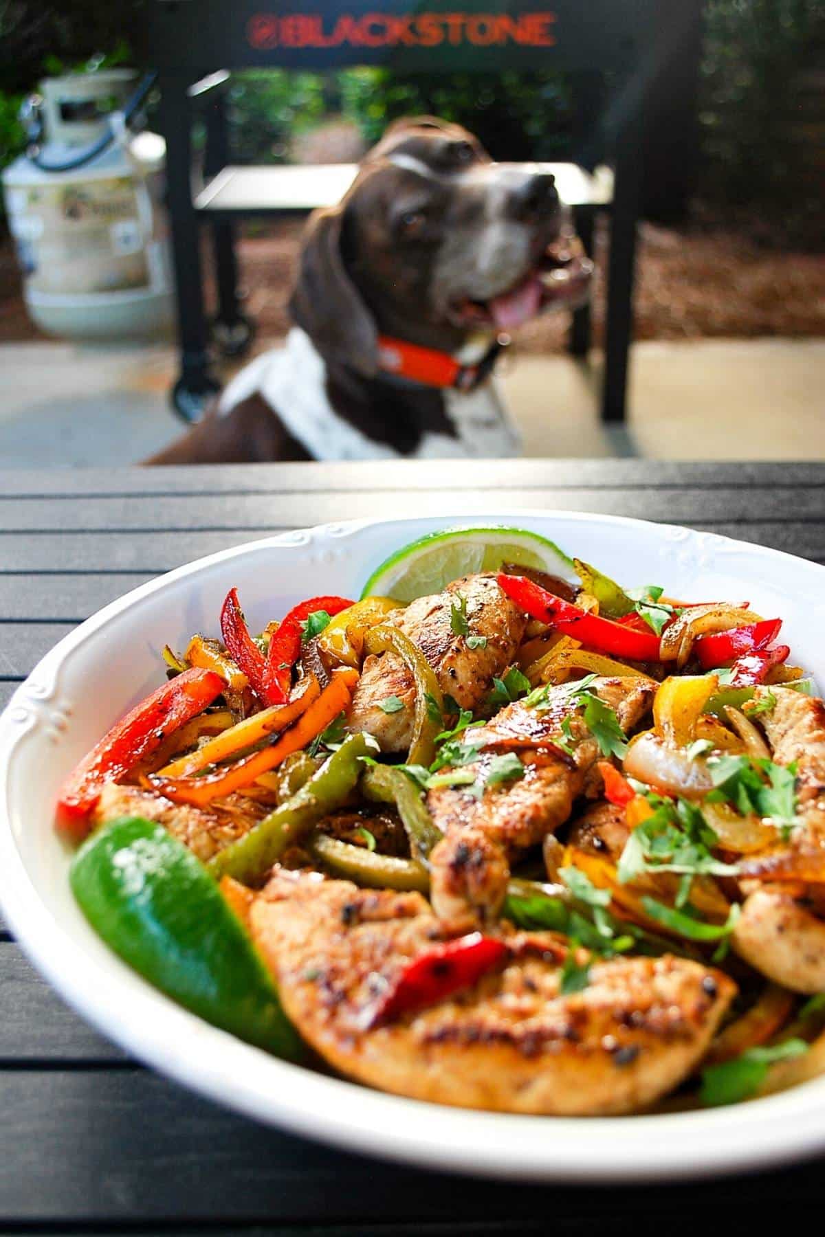 chicken fajitas in a serving dish with a dog and Blackstone in the background