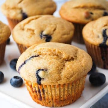 close up photo of a blueberry protein muffin on a white platter with blueberries and more muffins behind it