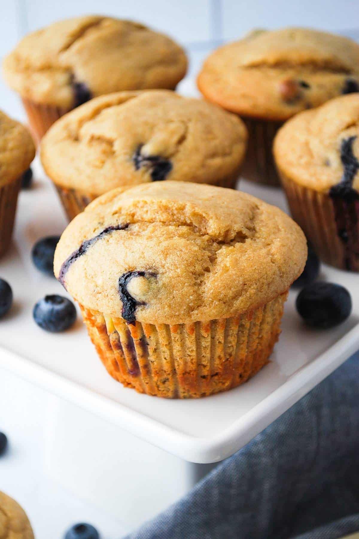 protein blueberry muffins on a platter with fresh berries