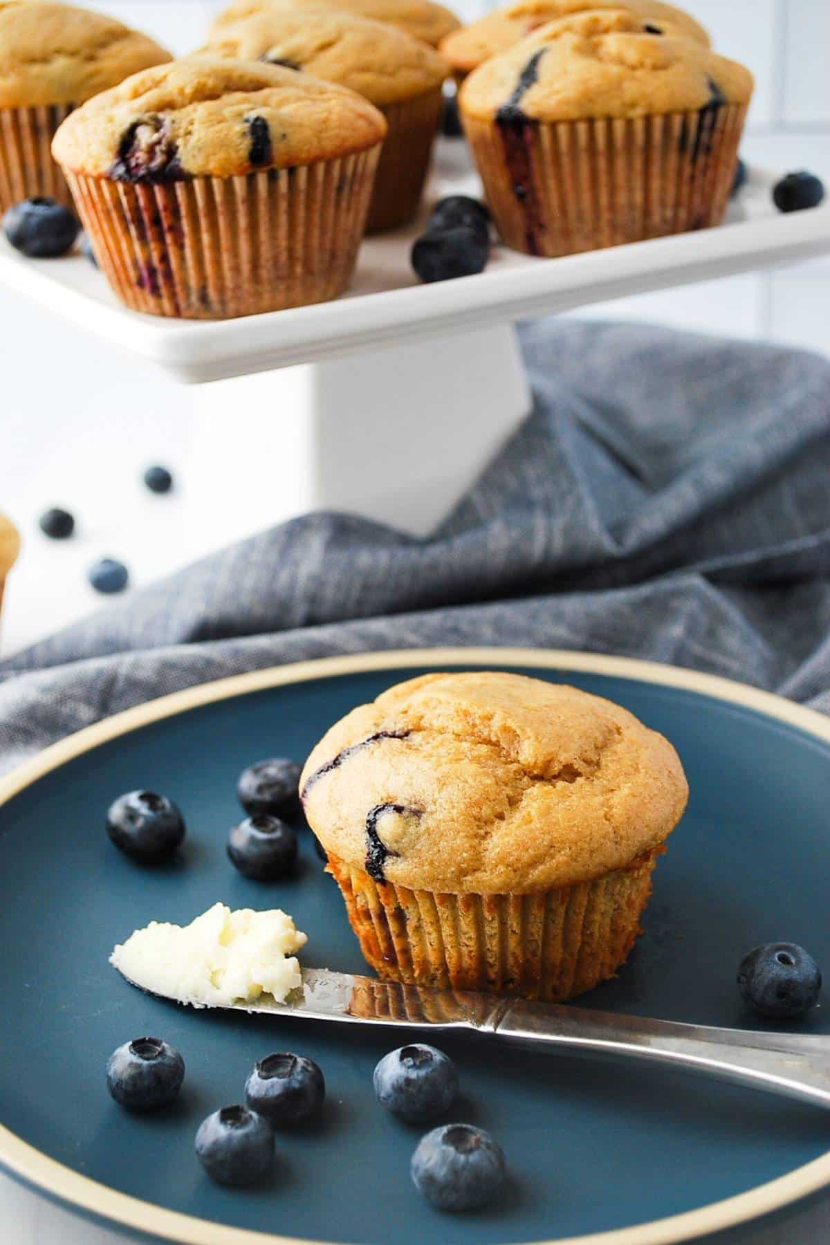 a blueberry protein muffin on a blue plate with fresh blueberries and a knife with butter on it with a tray of muffins in the background