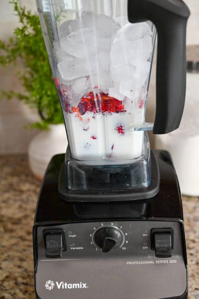 Vitamix Strawberry Ice Cream Amee's Savory Dish