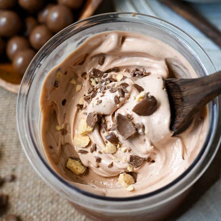 Chocolate Malt Ninja Creami Protein Ice Cream