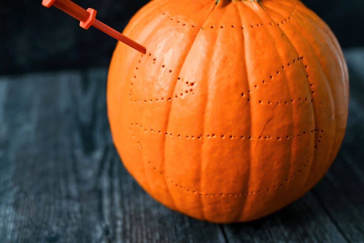 punching out an outline to carve a small pie pumpkin