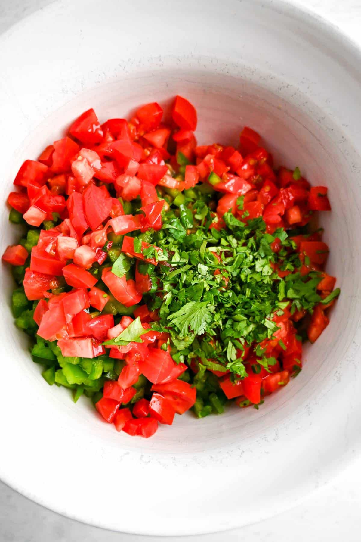 salsa ingredients in a large mixing bowl